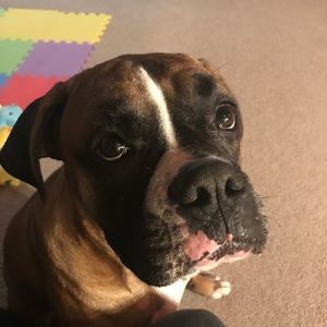 Meet your Posher, Kelly